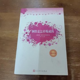 钢铁是怎样炼成的（最新版）