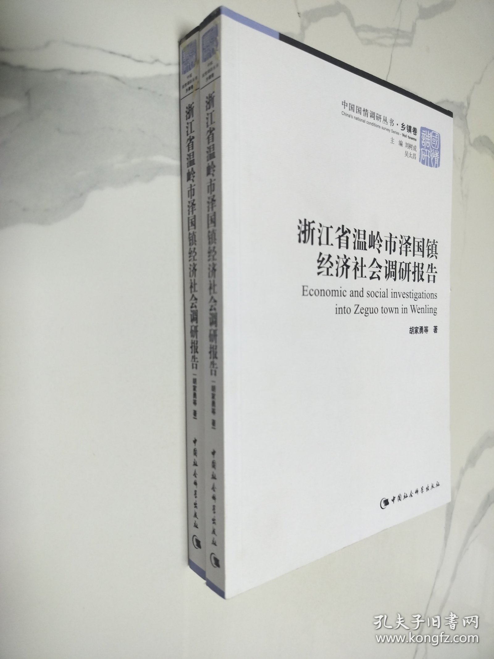 浙江省温岭市泽国镇经济社会调研报告