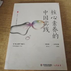 核心素养的中国实践大夏书系