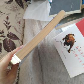 暴涨大行情/股是股非之二