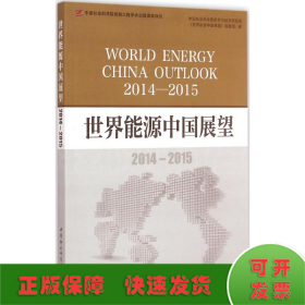 世界能源中国展望