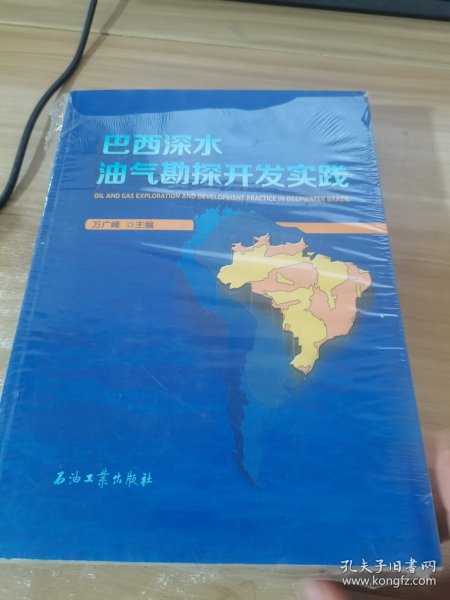 巴西深水油气勘探开发实践