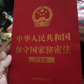 2024中华人民共和国保守国家秘密法（大字版）