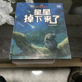 小考拉的故事（精装绘本）：星星掉下来了