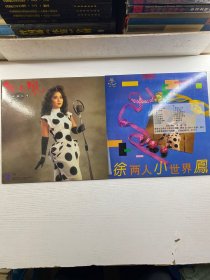 大黑胶唱片 徐小凤 PAULA（内含歌词单）1987年宝丽金出版、徐小凤 两人世界（1988年太平洋唱片出版）2张合售（现货如图）