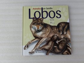 LODOS