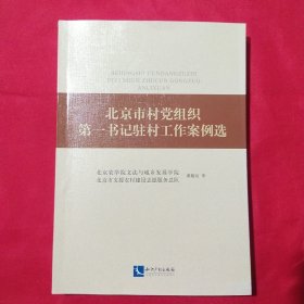 北京市村党组织第一书记驻村工作案例选