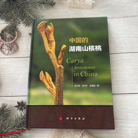 中国的湖南山核桃