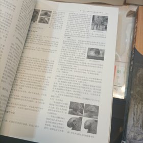 文物保护与修复的问题：中意合作支持北京中国文物研究所文物保护修复培训项目