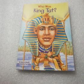 Who Was King Tut?  古埃及图特王(人物传奇系列)