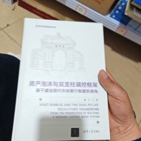 资产泡沫与双支柱调控框架 基于建设现代中央银行制度的视角（作者签名几乎全新内干净）
