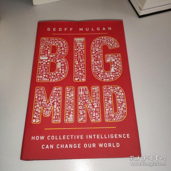 Big Mind：How Collective Intelligence Can Change Our World