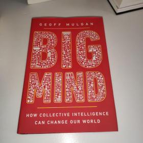 Big Mind：How Collective Intelligence Can Change Our World