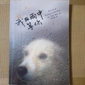 我在雨中等你