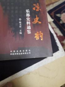 南凉史韵-乐都史料通鉴（外品如图，内页干净，近9品）