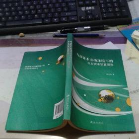 内部资本市场环境下的企业资本预算研究