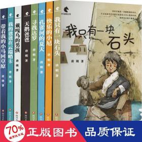 小马驹系列(唐明高原文学作品集)(全8册) 儿童文学 唐明