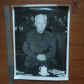 超大尺寸：1959年，刘少奇在第二届全国人民代表大会上当选为中华人民共和国主席（108号）