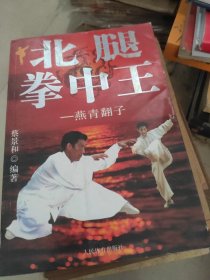 北腿拳中王 燕青翻子
