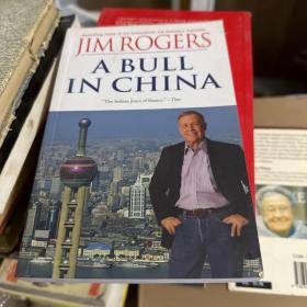 A Bull in China: Investing Profitably in the World's Greatest Market  投资中国