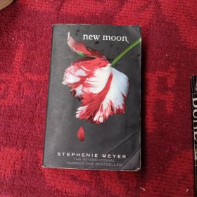 New Moon：MOON B