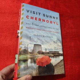 Visit Sunny Chernobyl