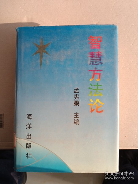 智慧方法论【精装】