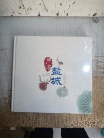 只有盐城摄影画册