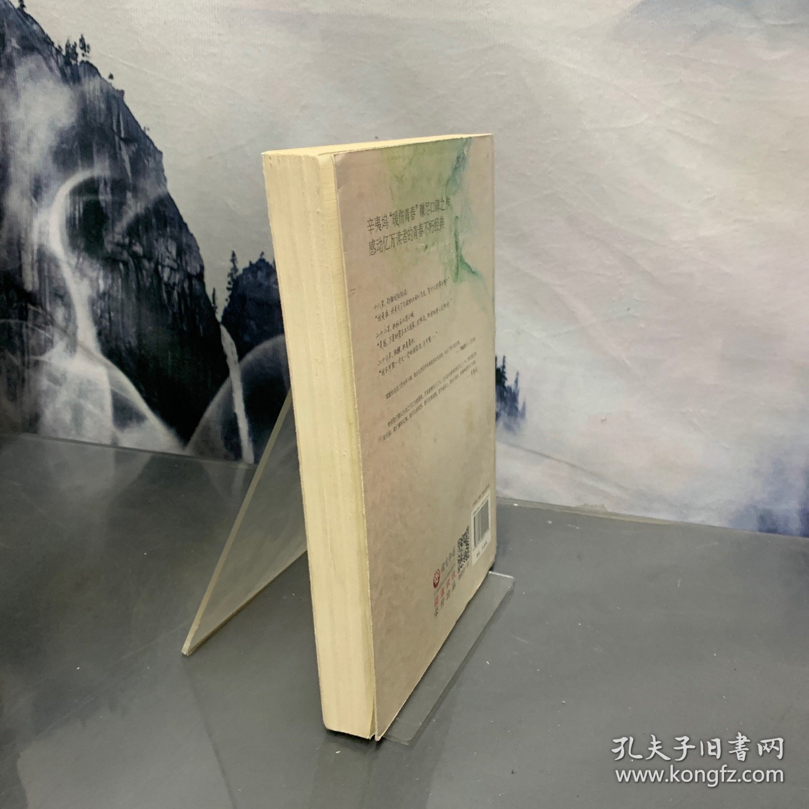 致我们终将逝去的青春：电影纪念版