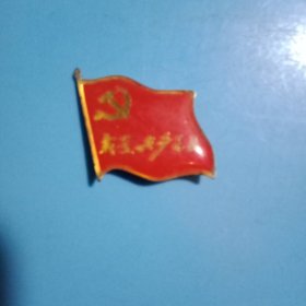 为充分发挥共产党员先锋模范作用而特制的注有“我是共产党员”口号的《中国共产党旗徽章》1枚（3×2.5厘米。背面有关针，可以佩戴）