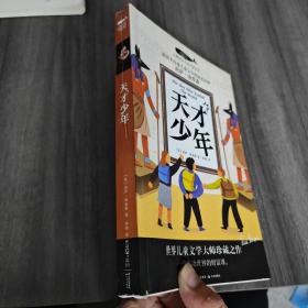 白鲸国际大奖作家作品书系第六辑：天才少年