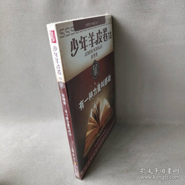 大型青少年励志丛书：有一种力量叫感动（少年羊皮卷）