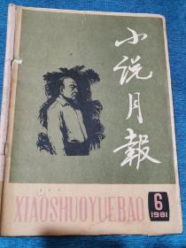 《小说月报》1981年第6期