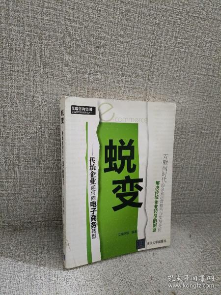 蜕变：传统企业如何向电子商务转型