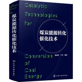 煤炭能源转化催化技术 能源科学  新华正版