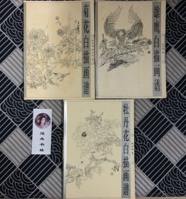 雄鹰白描画谱、菊花白描画谱、牡丹花白描画谱