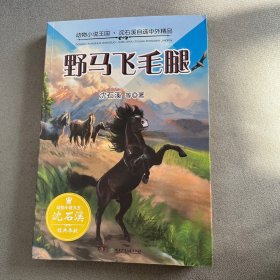 动物小说王国·沈石溪自选中外精品·野马飞毛腿