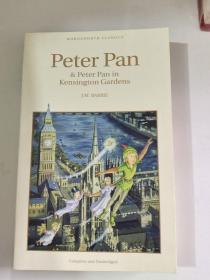 peter pan in kensington gardens彼得潘在肯辛顿花园