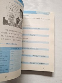 朗氏简明标准西班牙语语法