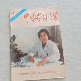 中国农村医学1993 6