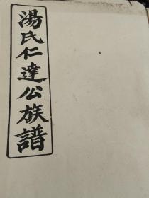 湖南《汤氏仁达公族谱》存六册七卷八卷九卷11-12等内容