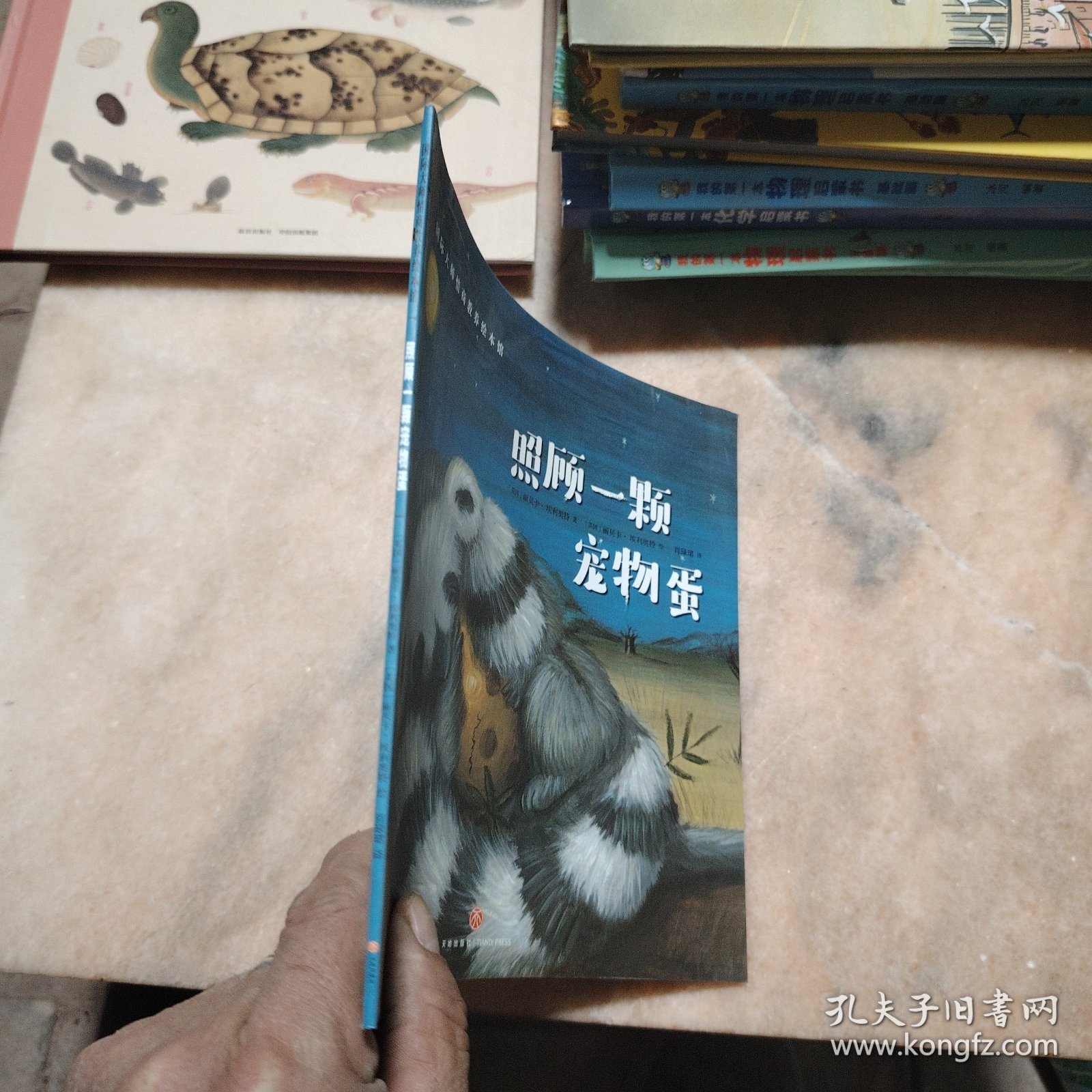 照顾一颗宠物蛋（典藏版畅销绘本，欧美大师级精美插画，暖心感人的情商故事，百听不厌的睡前读物，呵护孩子健康成长！）