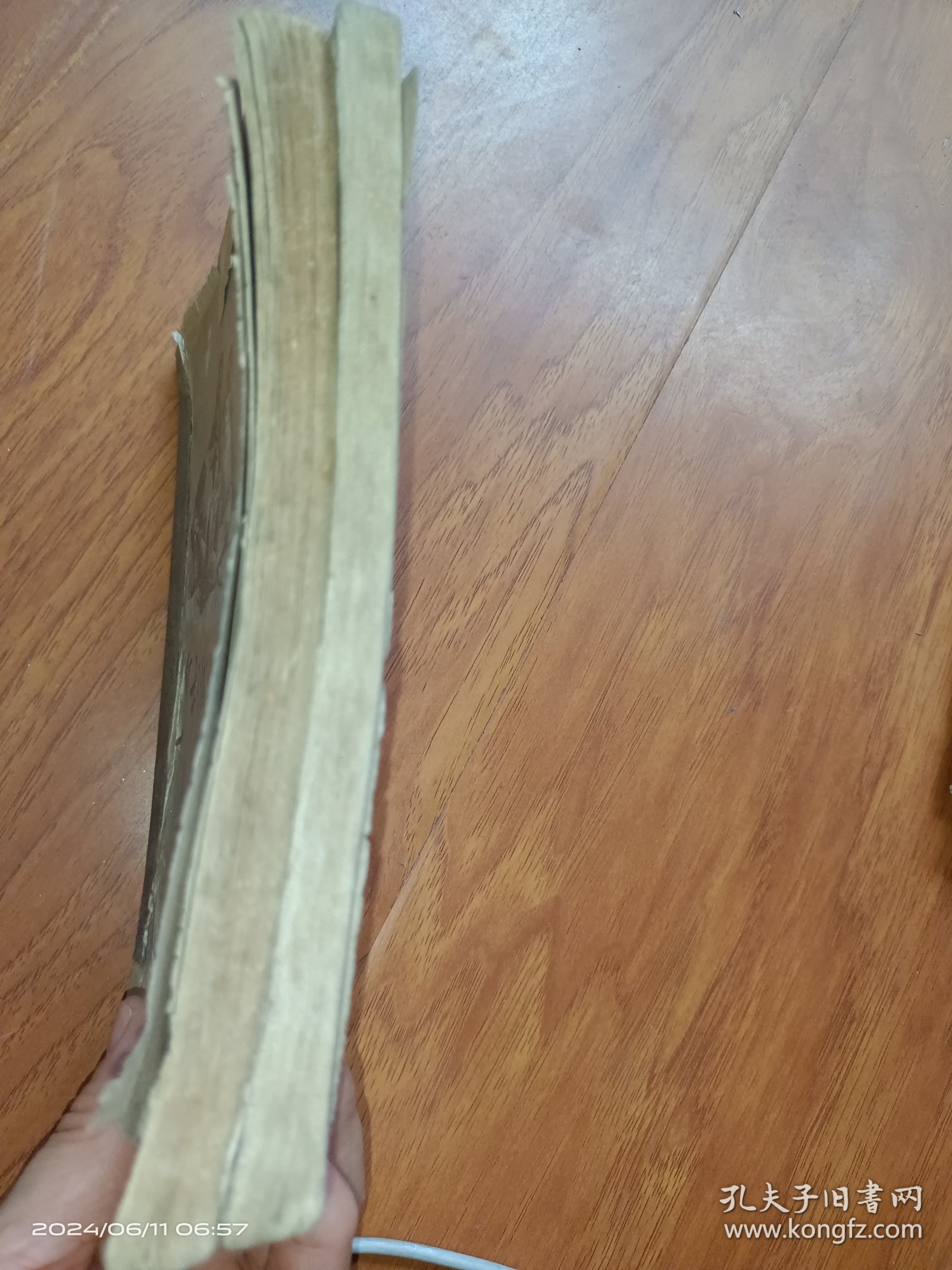 少年无线电爱好者 上下