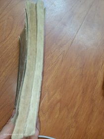 少年无线电爱好者 上下