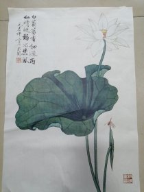 仿真宣纸印刷于非厂花鸟作品4