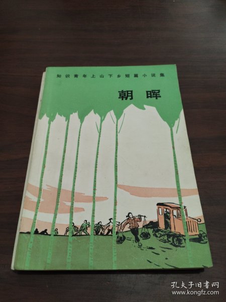 朝晖—知识青年上山下乡短篇小说集