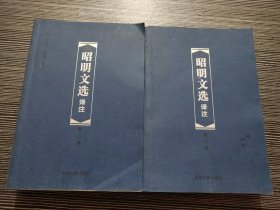昭明文选译注第二册、第三册（2本合售）