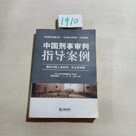 中国刑事审判指导案例（侵犯公民人身权利、民主权利罪）