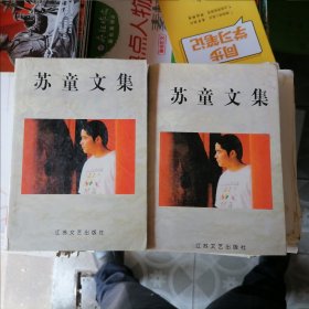 苏童文集：上下（品相以图片为准）软精装有书衣2本合售，近九品