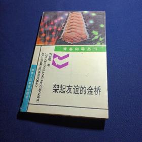 架起友誼的金橋